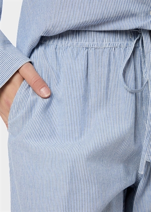 Sonar mini stripe buks Blue Neo Noir 